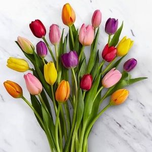 Meet your Posher, Fred